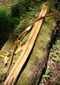 Osage Recurve